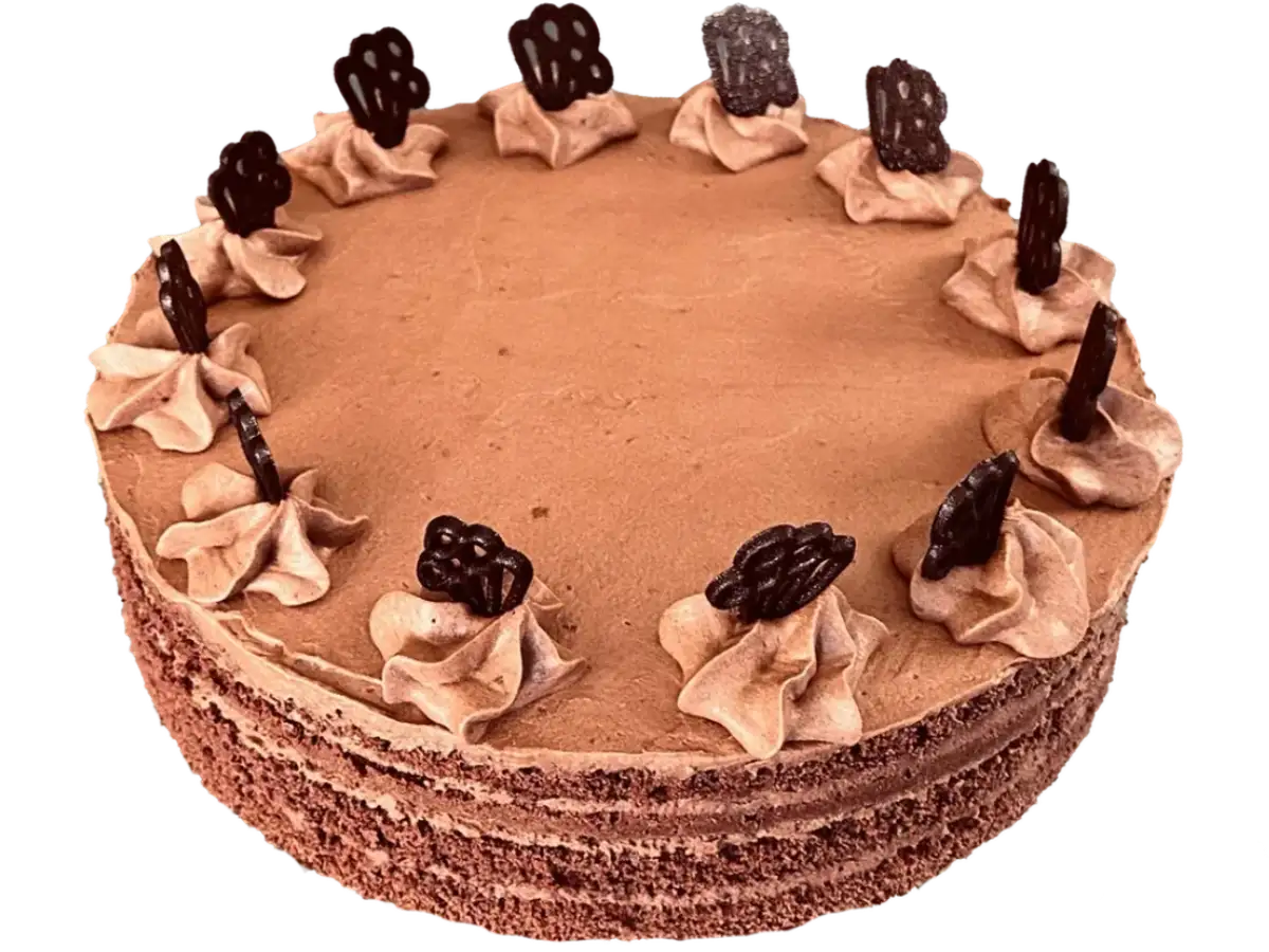 Chocolate cake with chocolate whipped cream