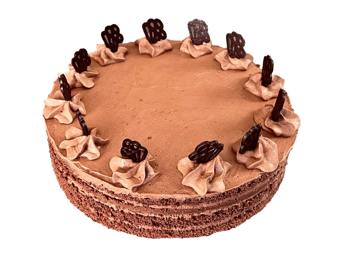 Chocolate cake with chocolate whipped cream